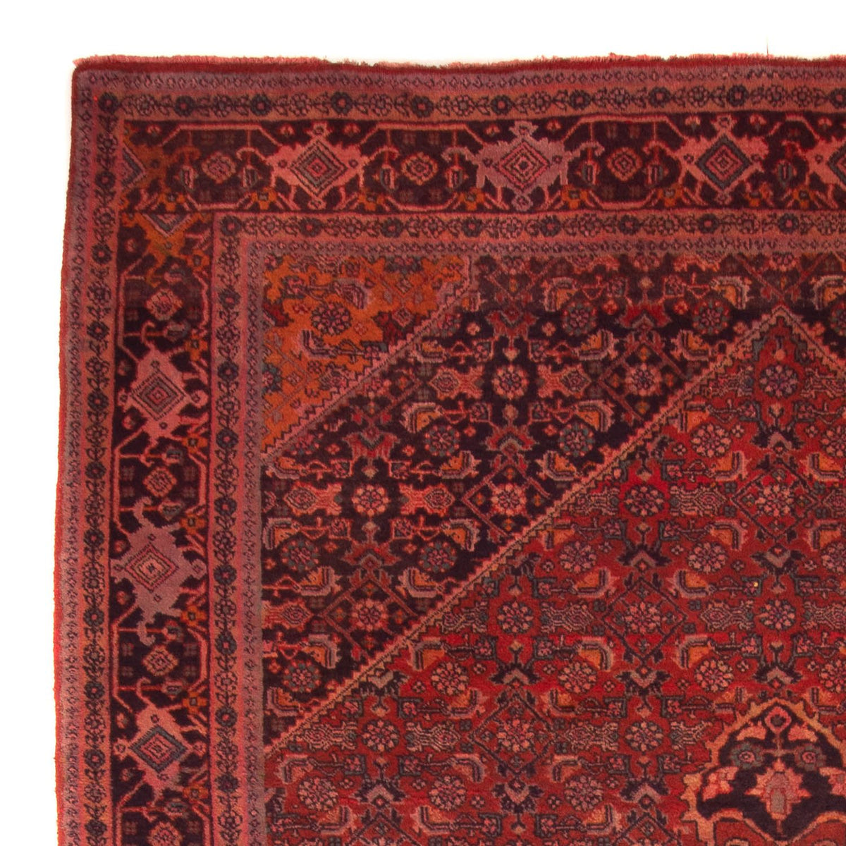 Bidjar - Takab Rug 220x327cm - Persian Rugs