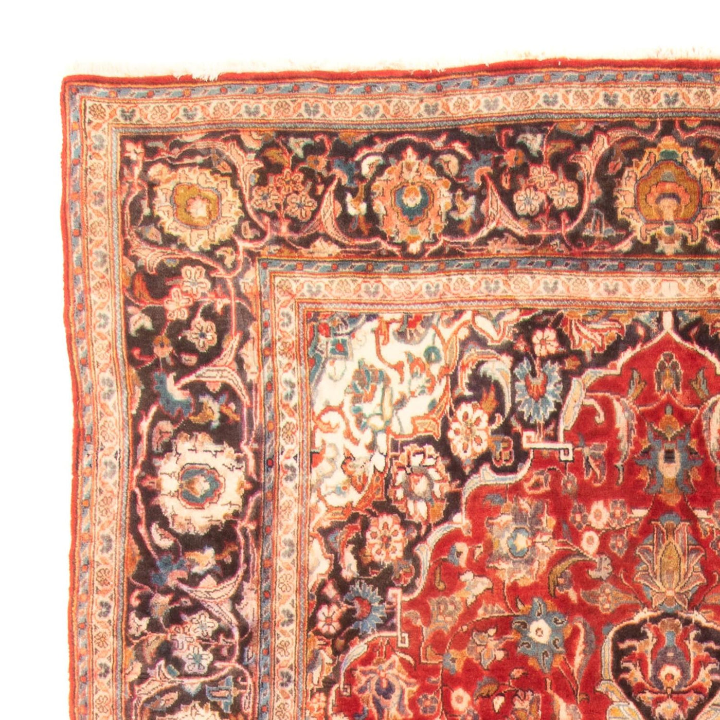 Kashan Rug 322x183cm - Persian Rugs