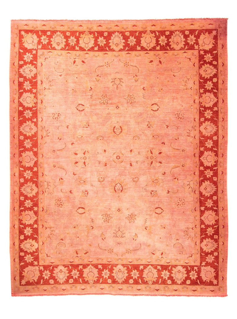 Ziegler Rug - 300 x 242 cm - light red