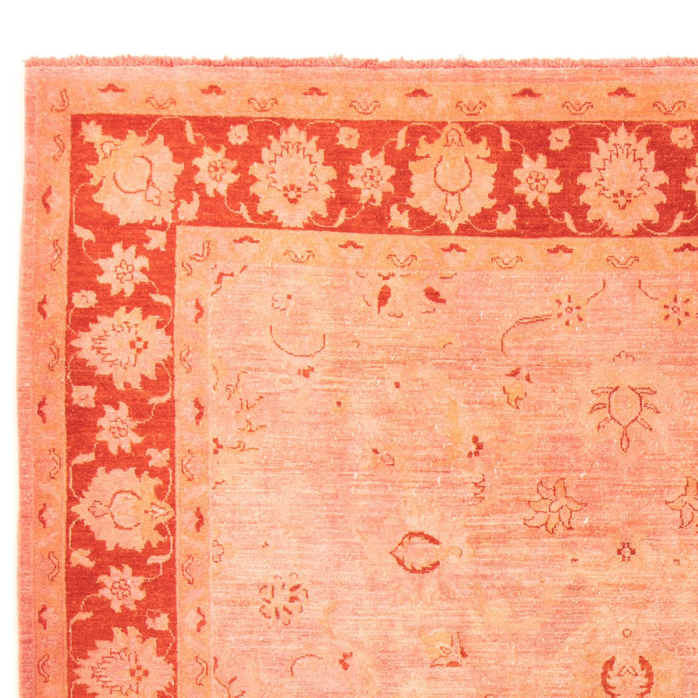 Ziegler Rug 300x242cm - Oriental Rug