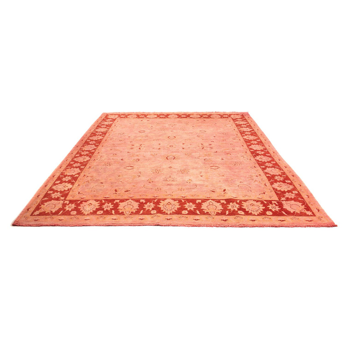 Ziegler Rug - 300 x 242 cm - light red