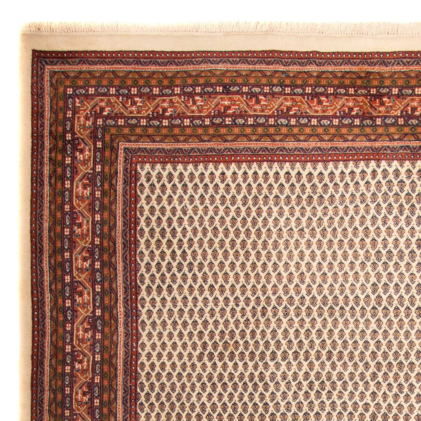 Indo Mir Rug 344x244cm - Oriental Rug