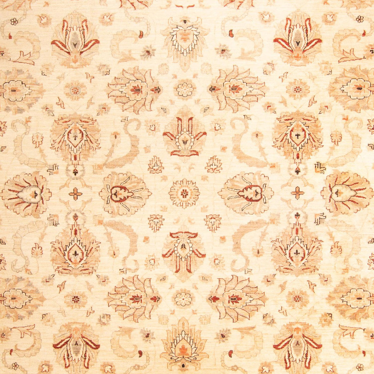 Ziegler Rug - 397 x 299 cm - beige