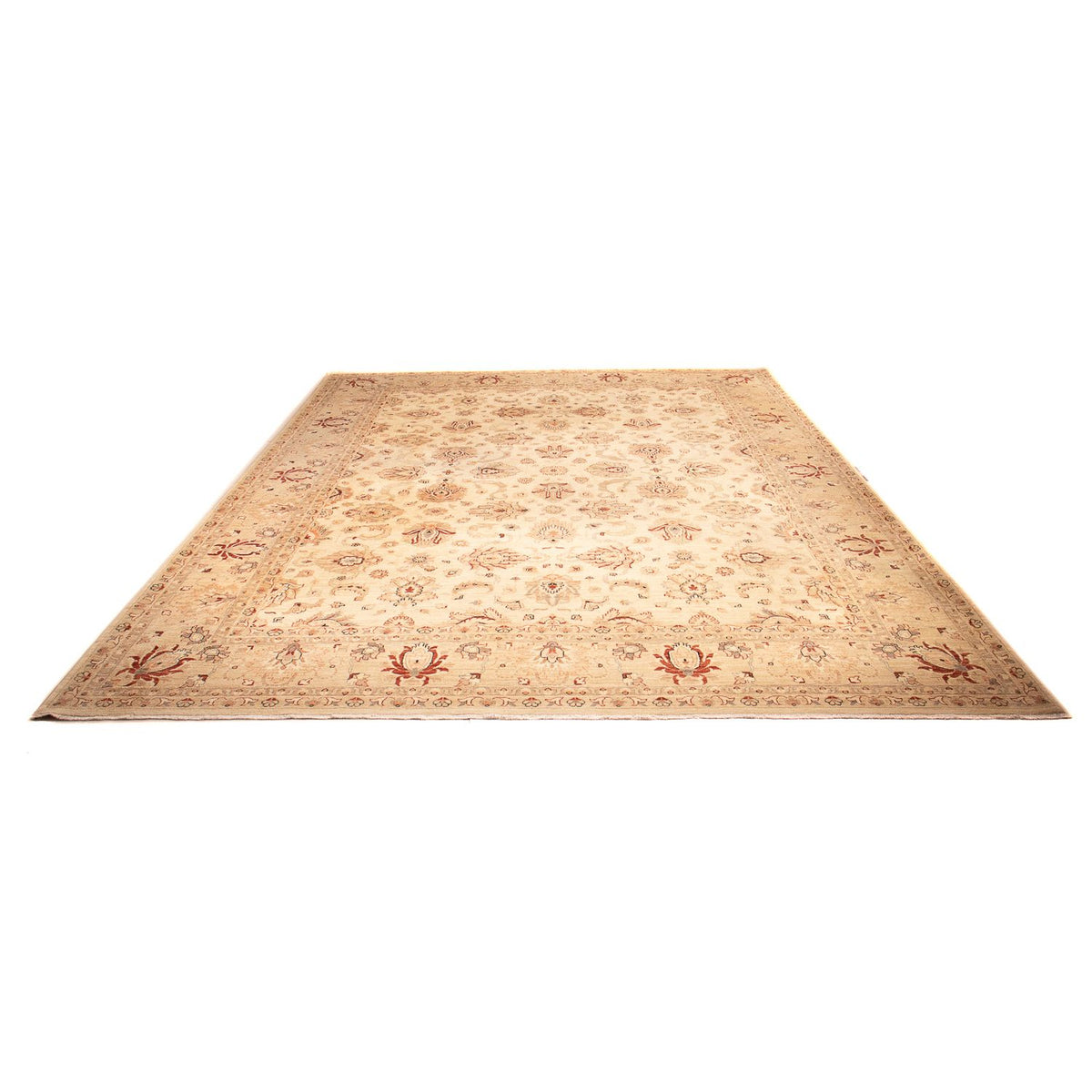 Ziegler Rug - 397 x 299 cm - beige
