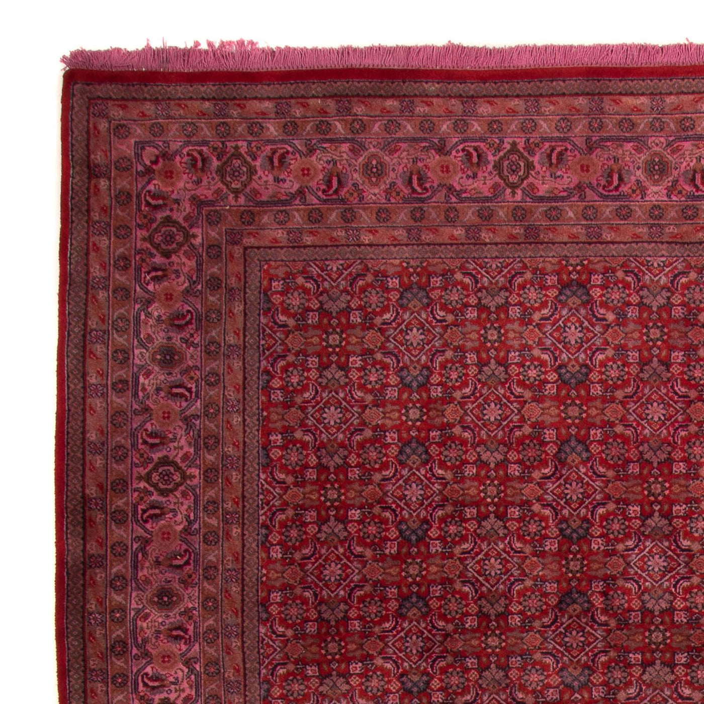 Indo Bidjar Rug 300x200cm - Oriental Rug
