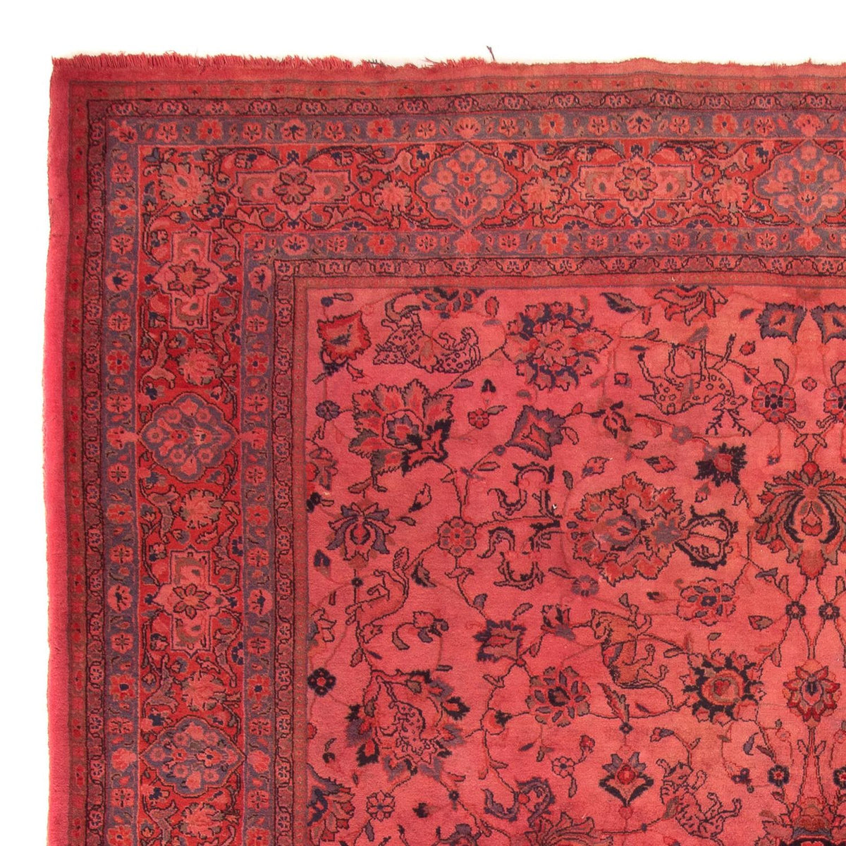 Sarouk Rug 244x349cm - Persian Rugs