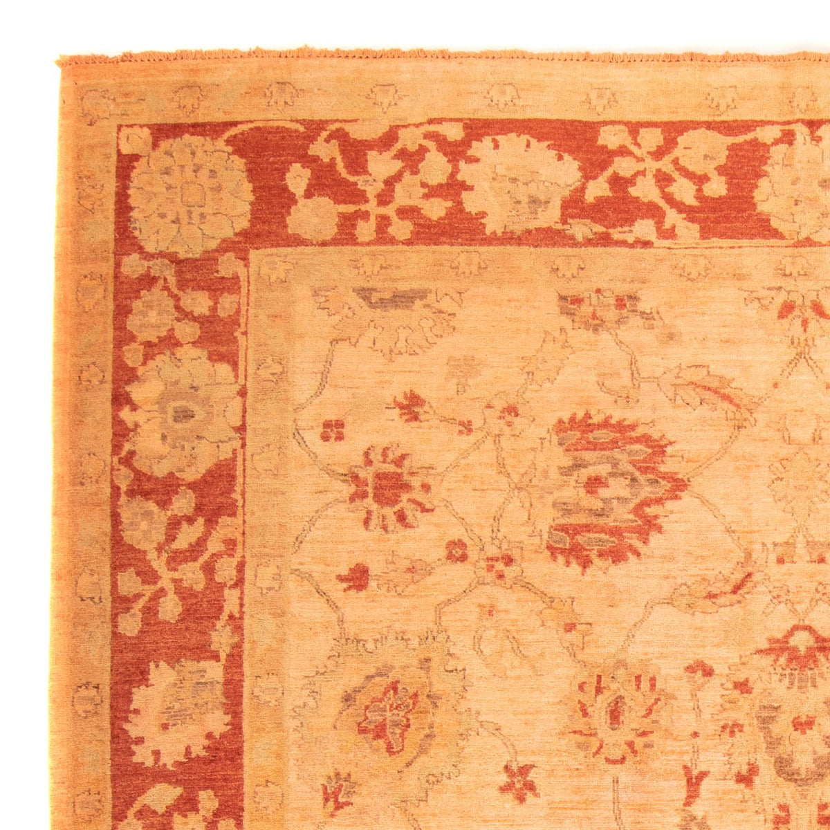 Ziegler Rug - 300 x 200 cm - orange