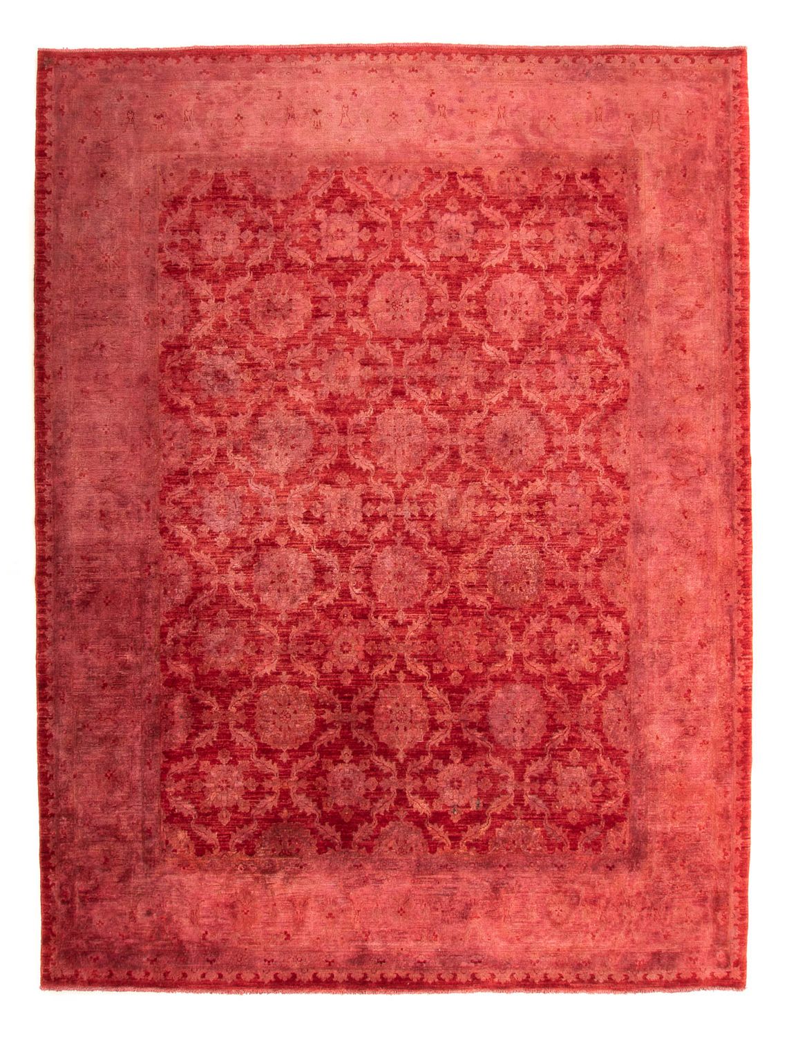Ziegler Rug - 303 x 244 cm - light red