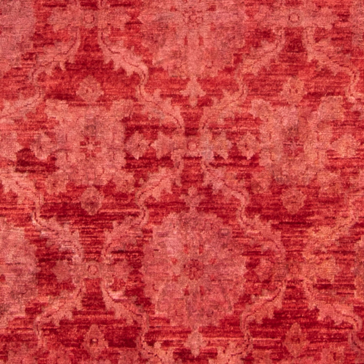 Ziegler Rug - 303 x 244 cm - light red