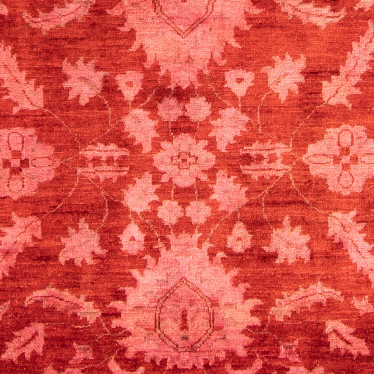 Ziegler Rug - 330 x 240 cm - light red