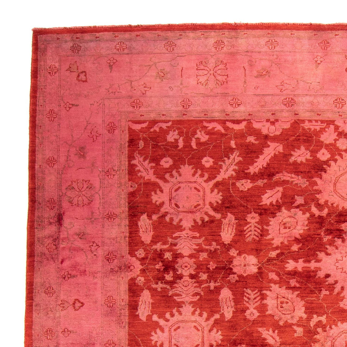 Ziegler Rug - 330 x 240 cm - light red