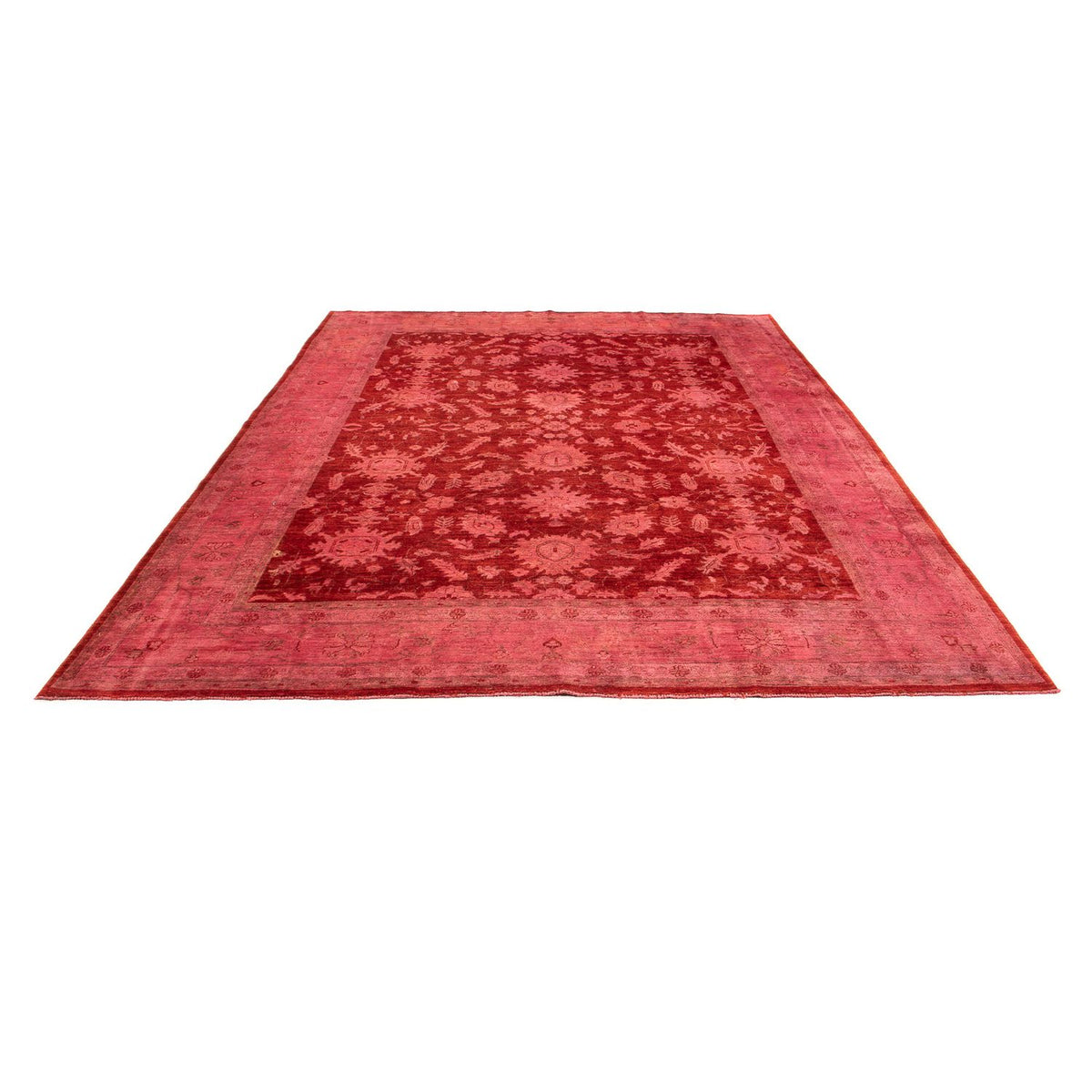 Ziegler Rug - 330 x 240 cm - light red