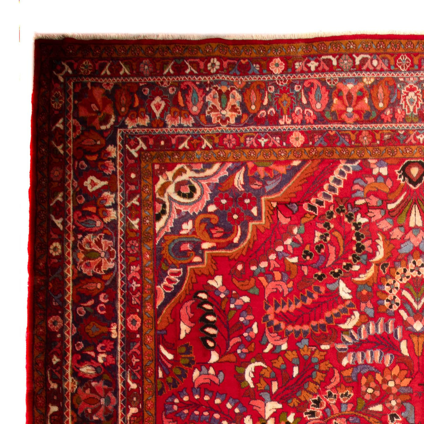 Lilian Rug 460x326cm - Persian Rugs