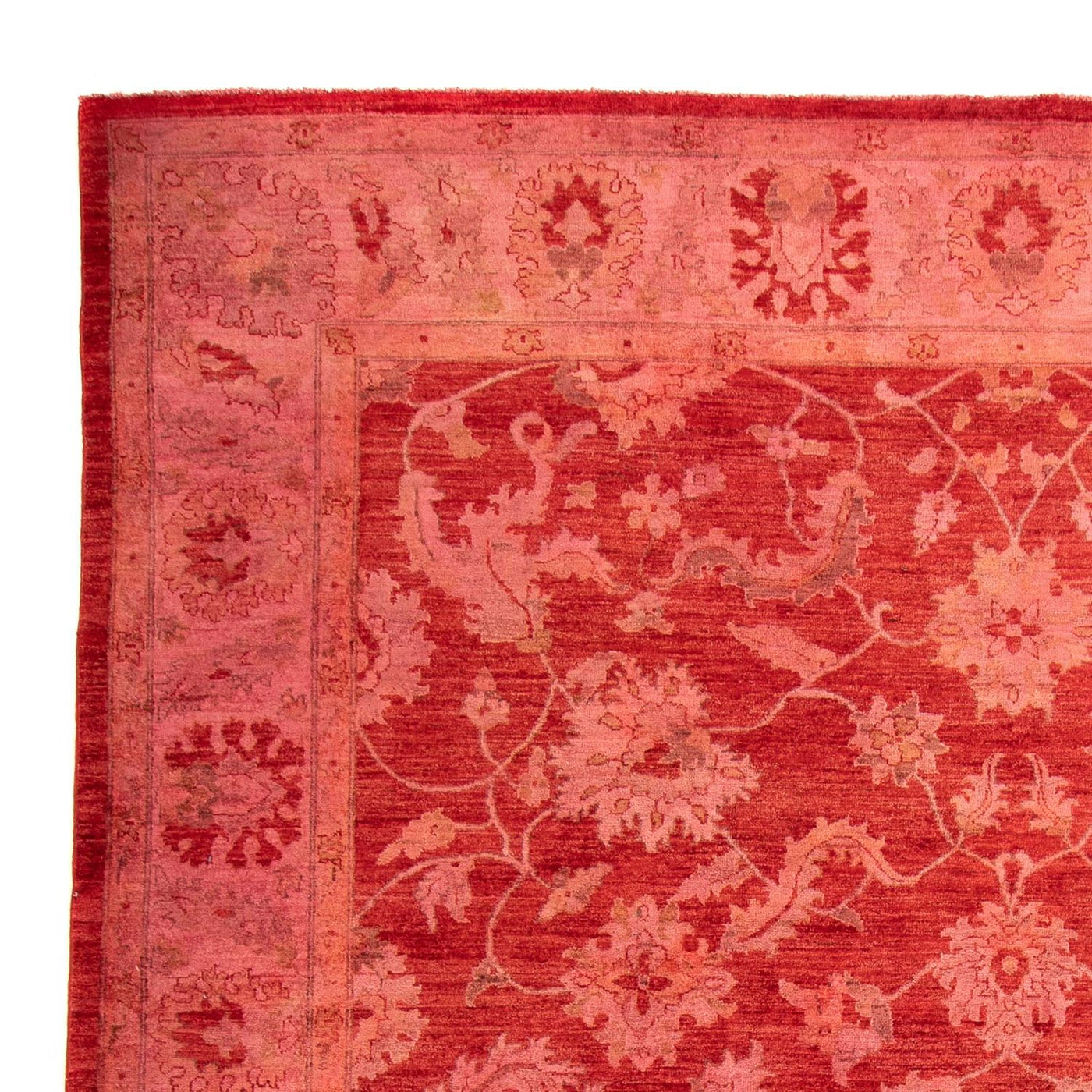 Ziegler Rug 350x222cm - Oriental Rug