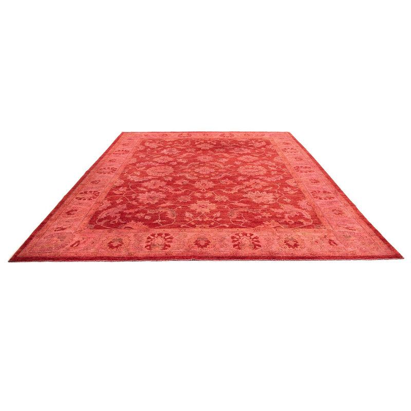Ziegler Rug - 350 x 222 cm - light red