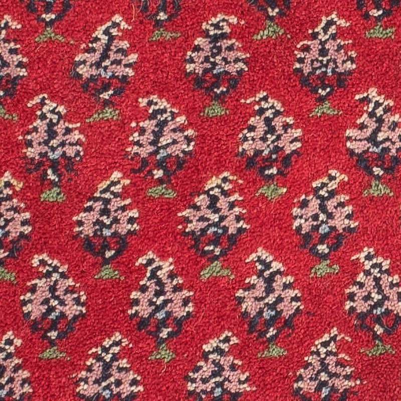 Oriental Rug - Mir - Indus - 61 x 41 cm - red