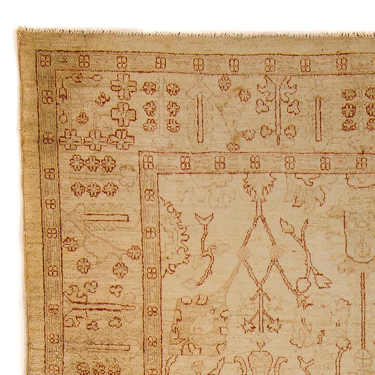 Ziegler Rug - 247 x 173 cm - light brown