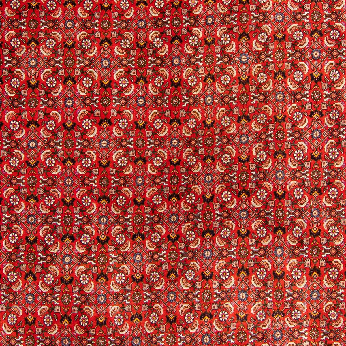 Perser Rug - Bidjar - 300 x 204 cm - red