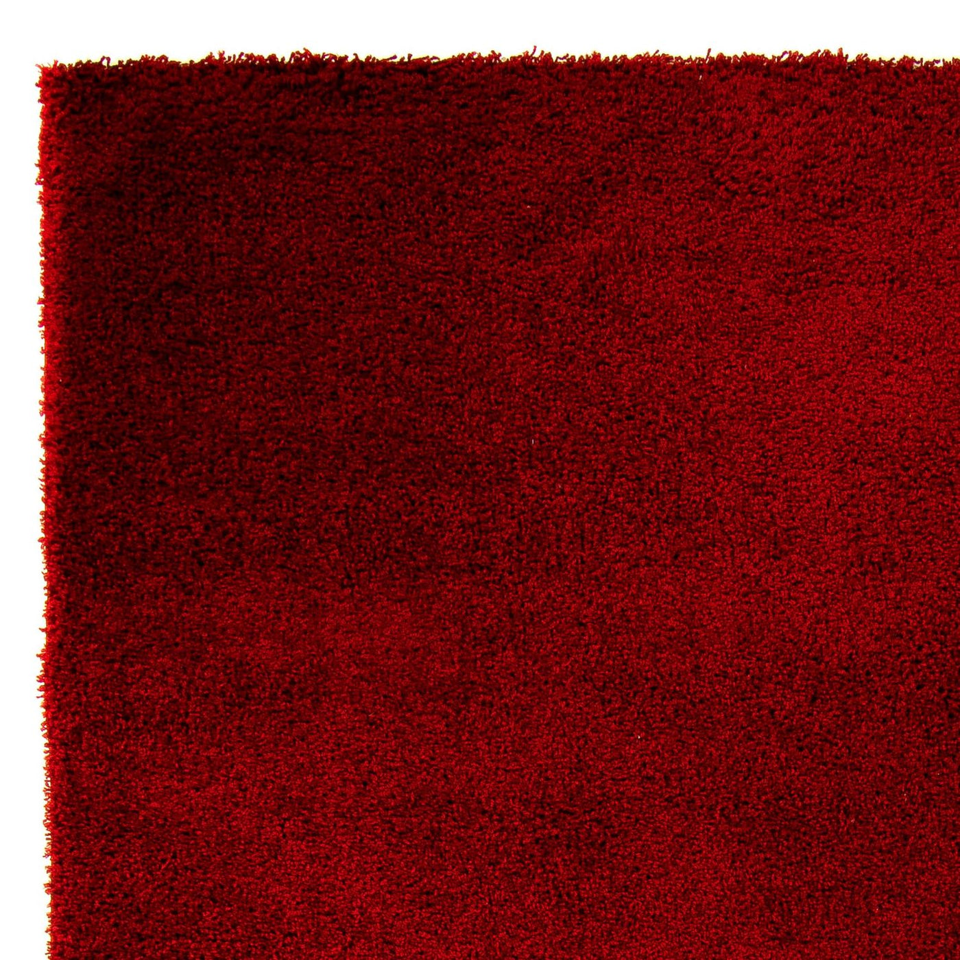 Shaggy Rug 290x200cm - Shaggy Teppich