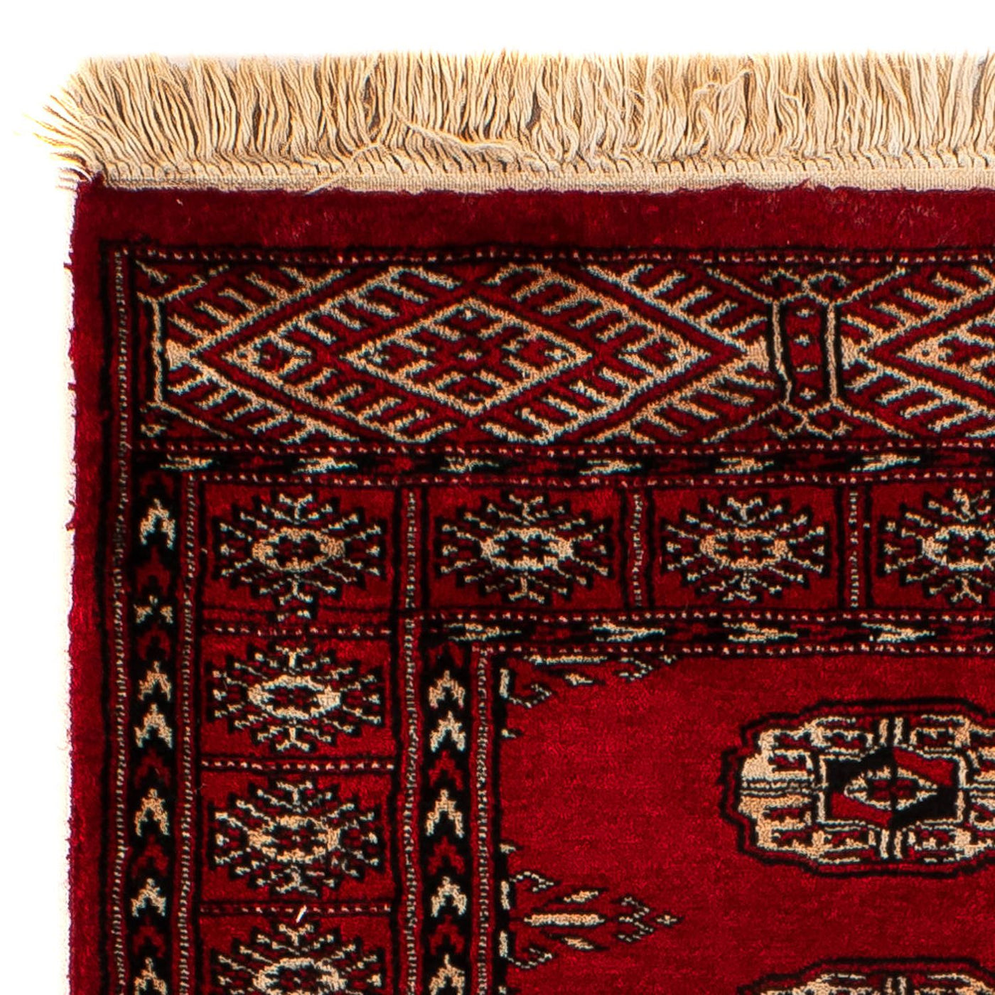 Pakistani Rug 115x78cm - Oriental Rug