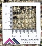 Oriental Rug - 160 x 90 cm - red