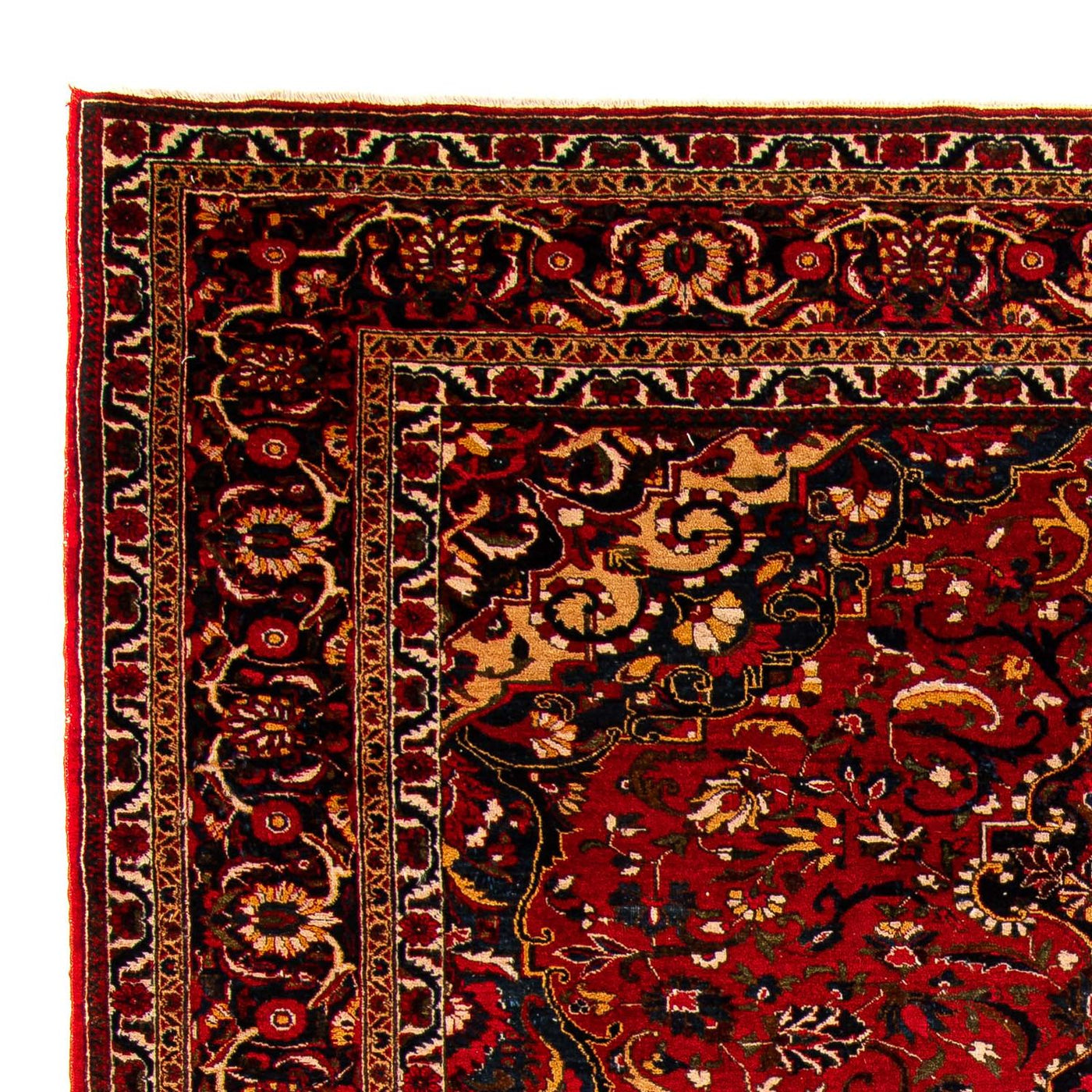 Bakhtiari Rug 335x226cm - Persian Rugs