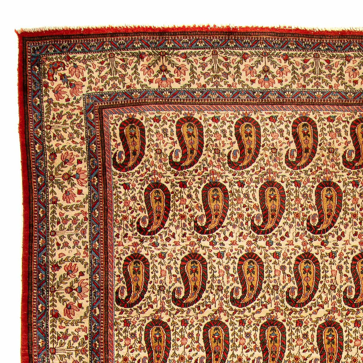 Sarouk Rug 219x329cm - Persian Rugs