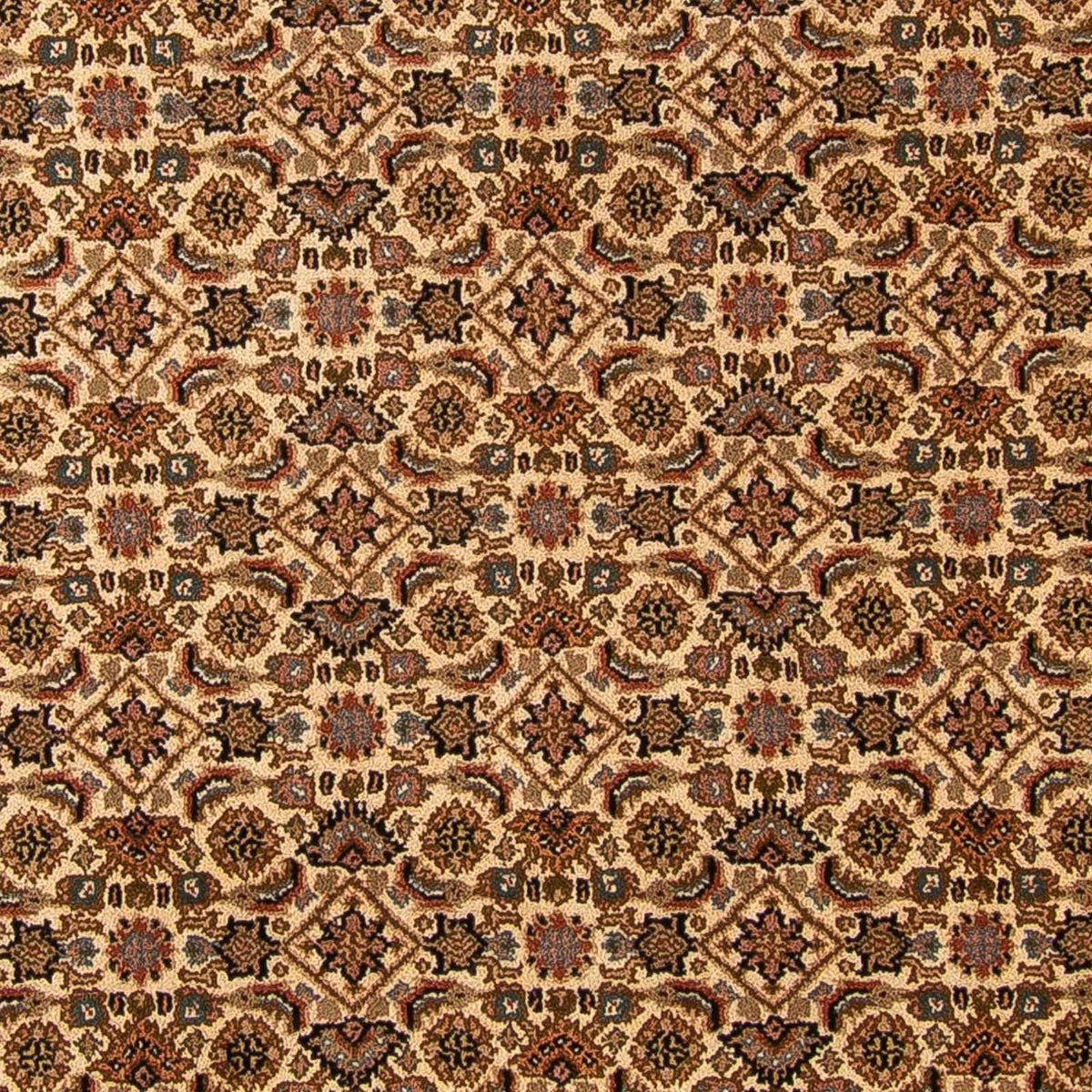 Oriental Rug - Bidjar - Indus - 309 x 250 cm - beige