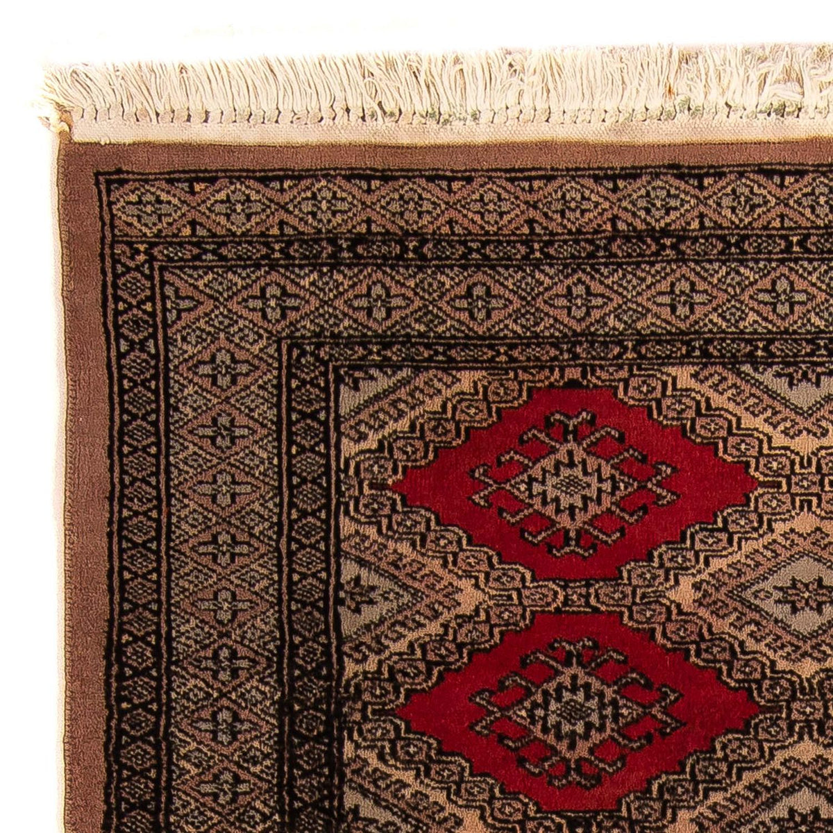 Pakistani Rug 96x150cm - Oriental Rug