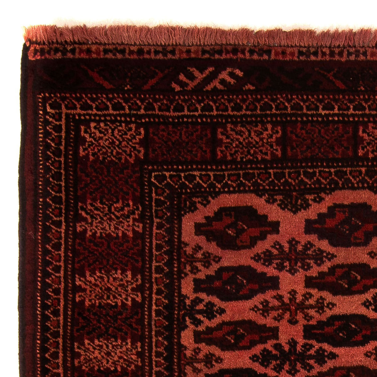 Afghan Rug - Bukhara - 150 x 103 cm - dark red