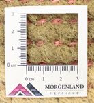 Nepal Rug - 140 x 70 cm - multicolored