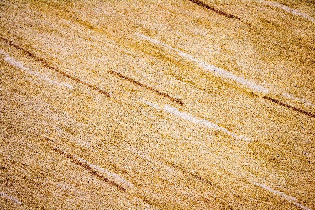 Gabbeh Rug - Indus - 242 x 150 cm - multicolored