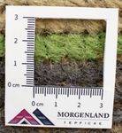 Nepal Rug - 140 x 70 cm - multicolored