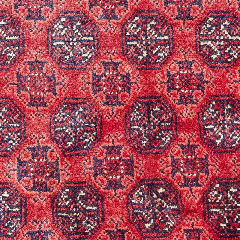 Afghan Rug - Bukhara - 299 x 195 cm - red