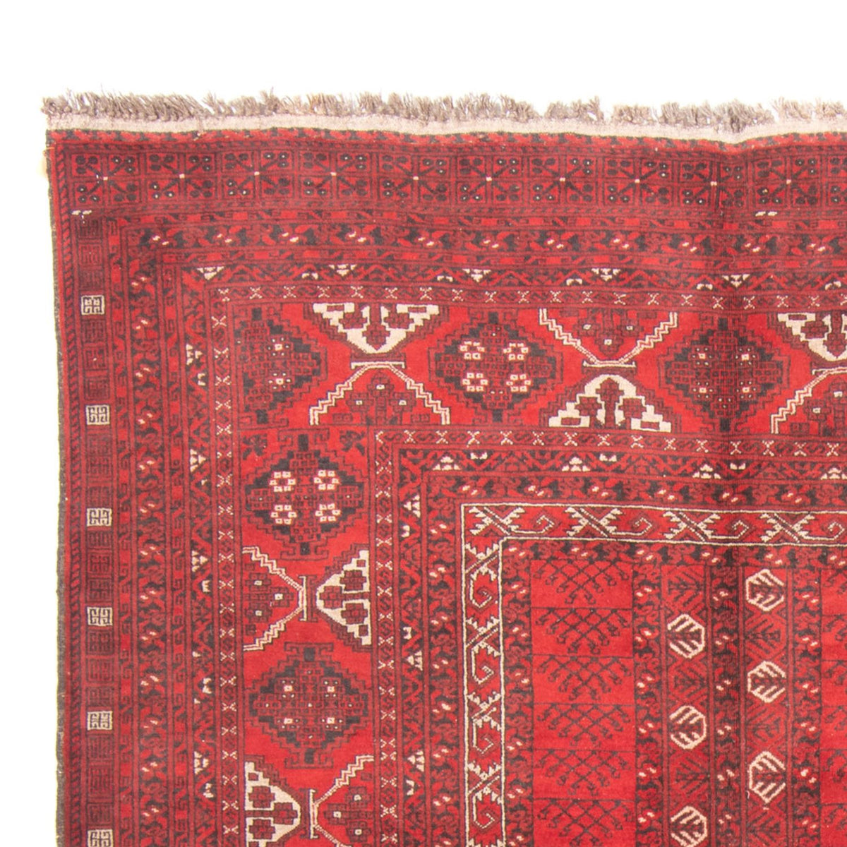 Turkaman Rug 159x236cm - Persian Rugs - red