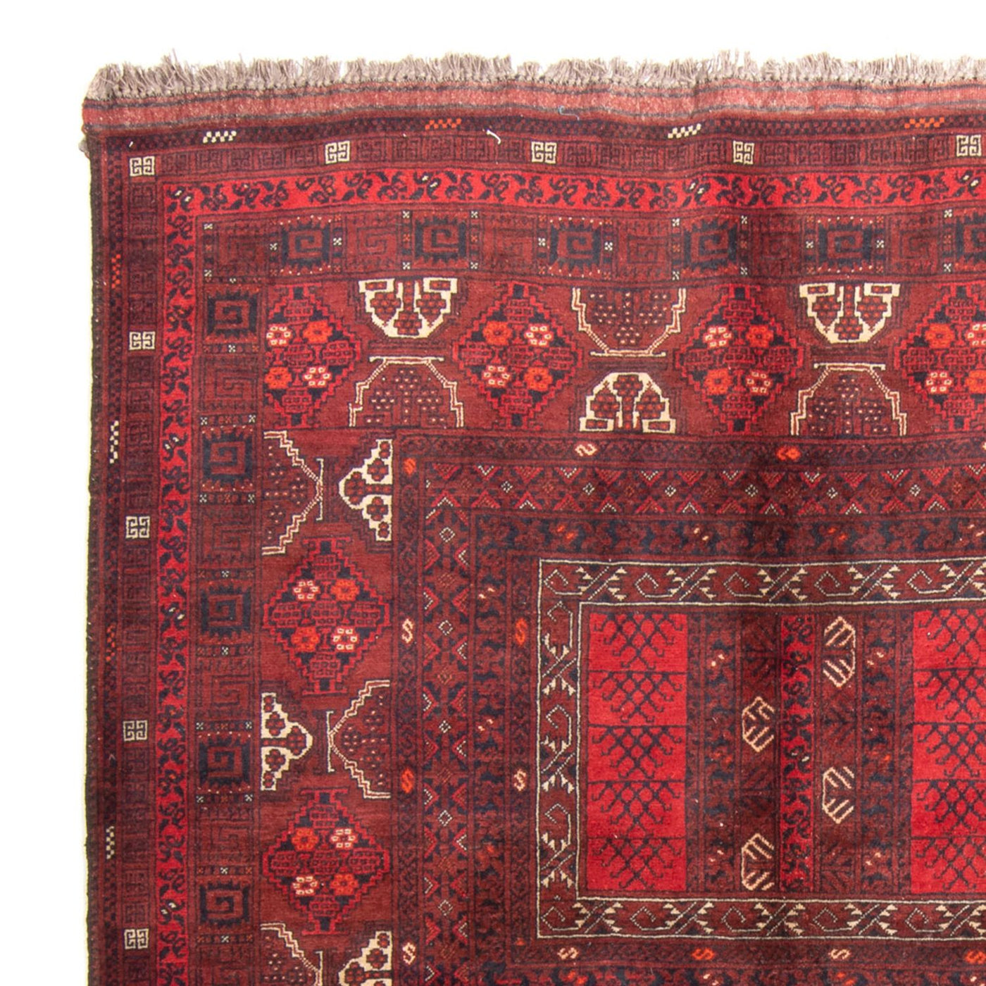 Turkaman Rug 240x160cm - Persian Rugs