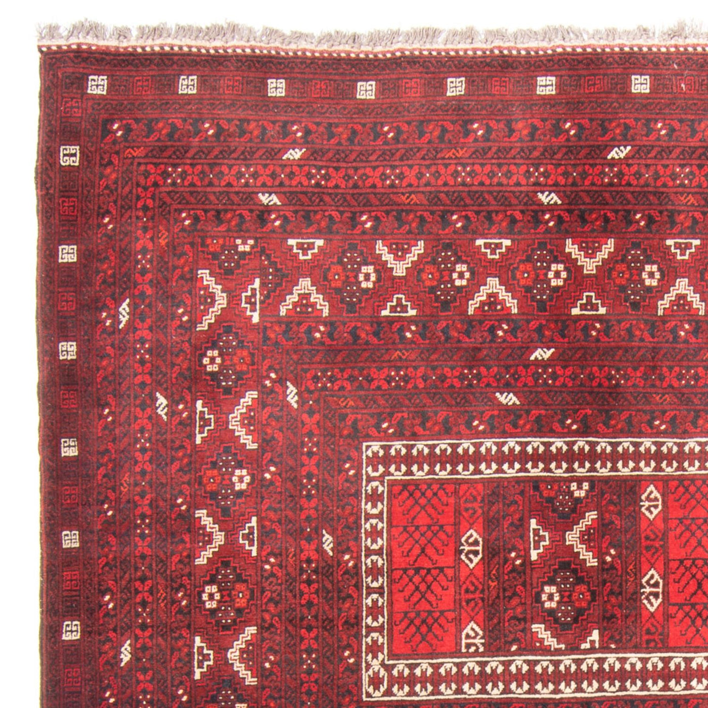 Turkaman Rug 236x162cm - Persian Rugs