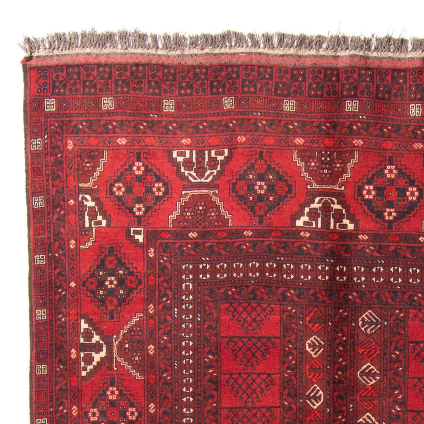 Turkaman Rug 228x158cm - Persian Rugs