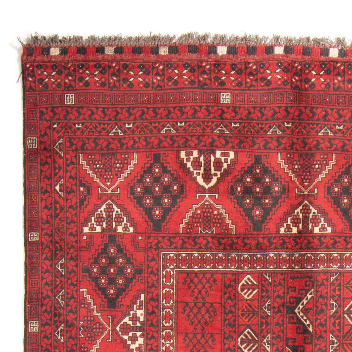 Turkaman Rug 230x157cm - Persian Rugs