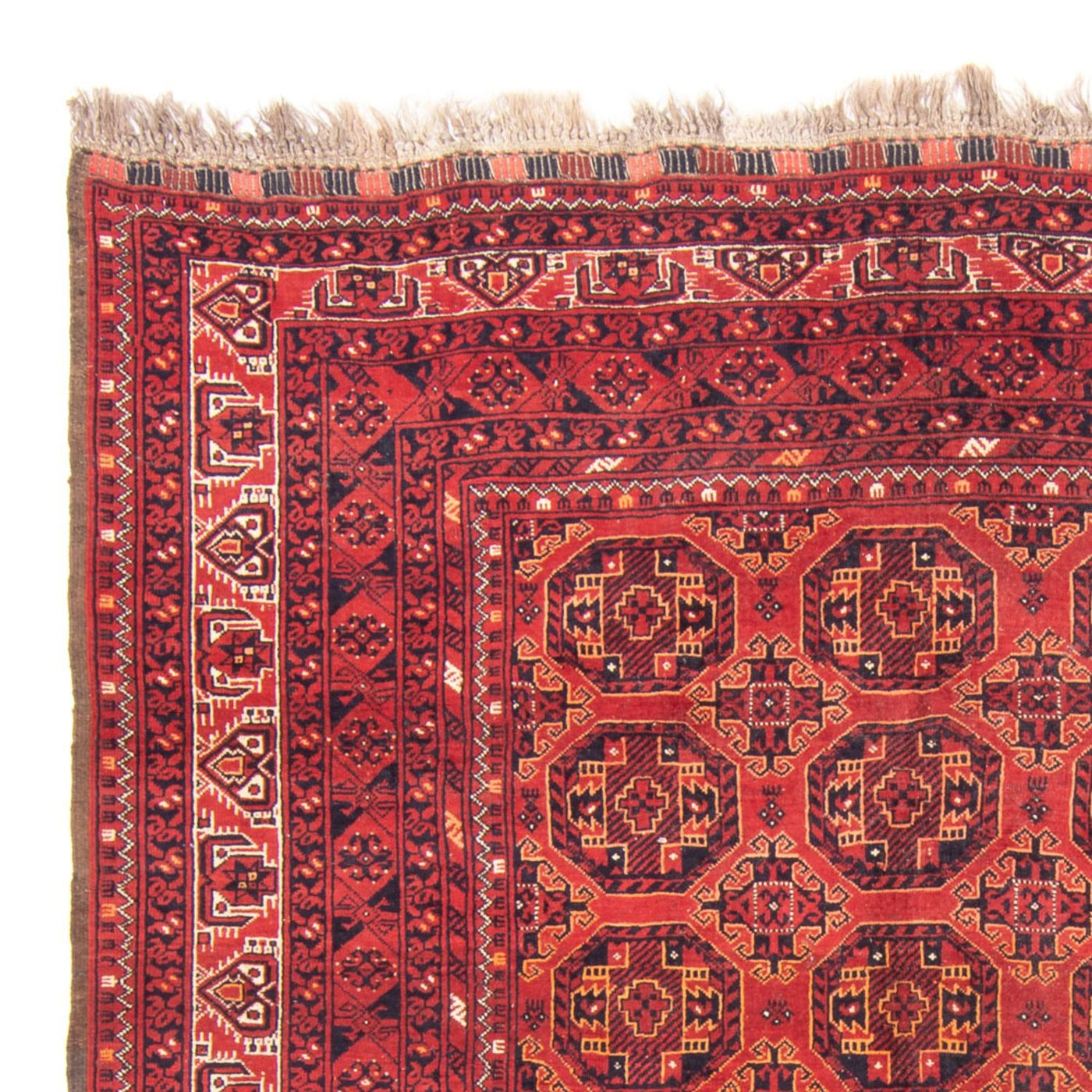 Turkaman Rug 246x157cm - Persian Rugs