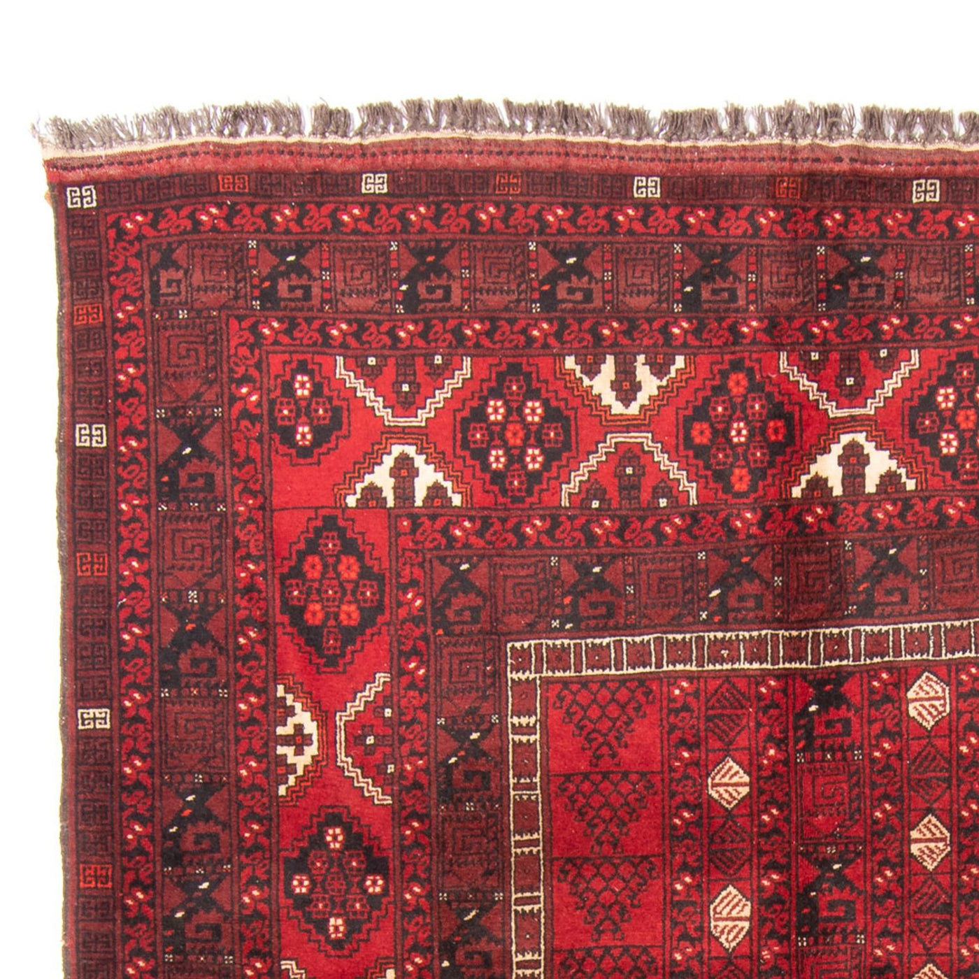 Turkaman Rug 244x158cm - Persian Rugs