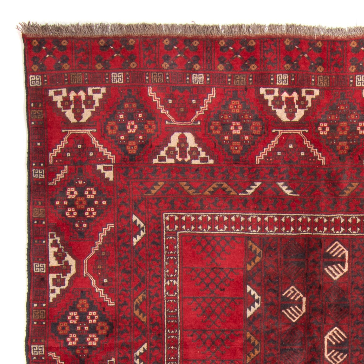 Turkaman Rug 230x153cm - Persian Rugs