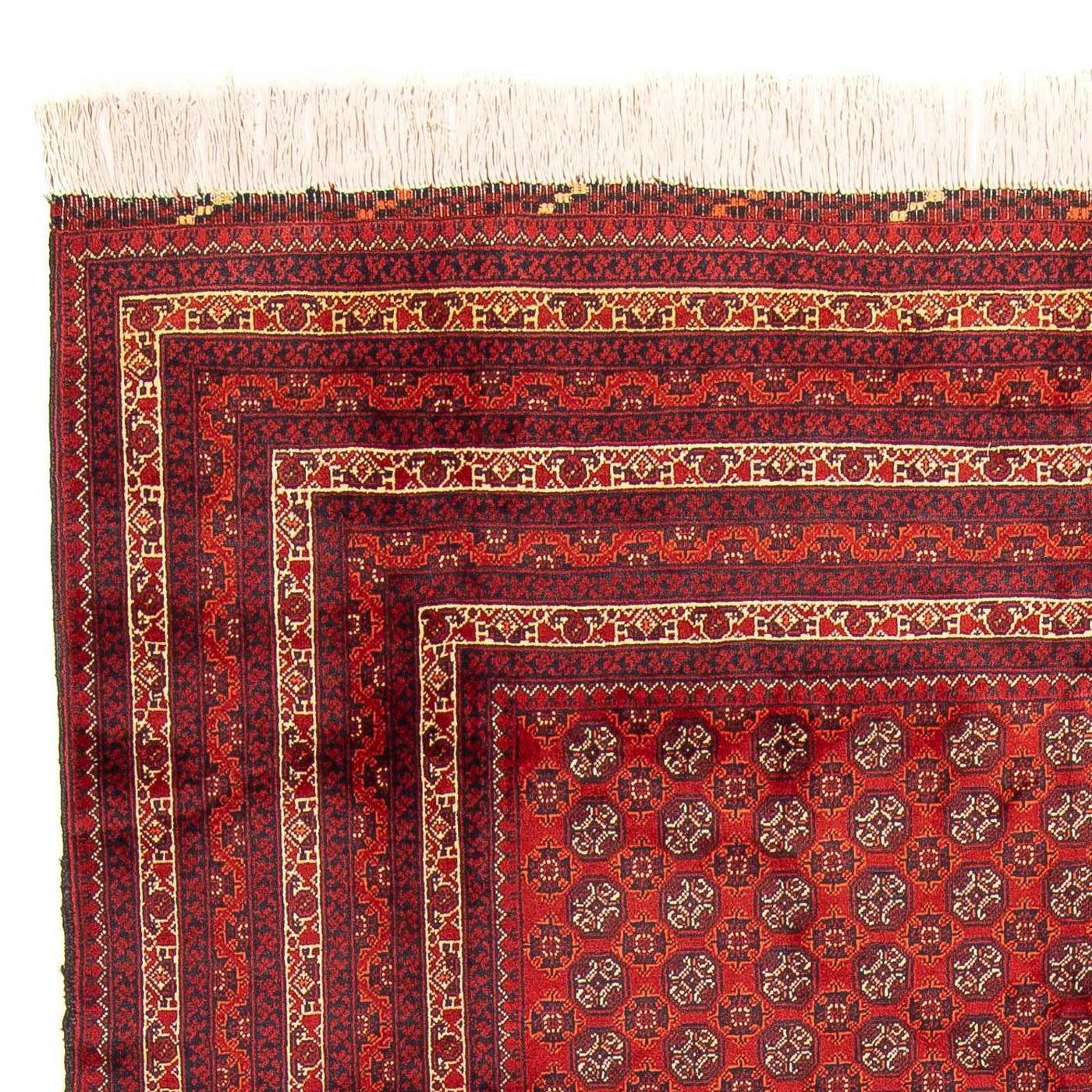 Bukhara Rug 300x200cm - Oriental Rug