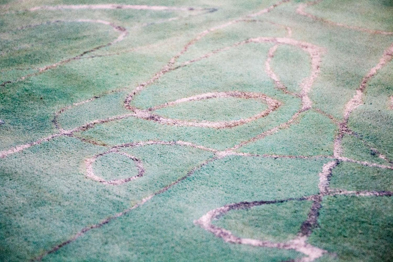 Designer Rug - 244 x 154 cm - green