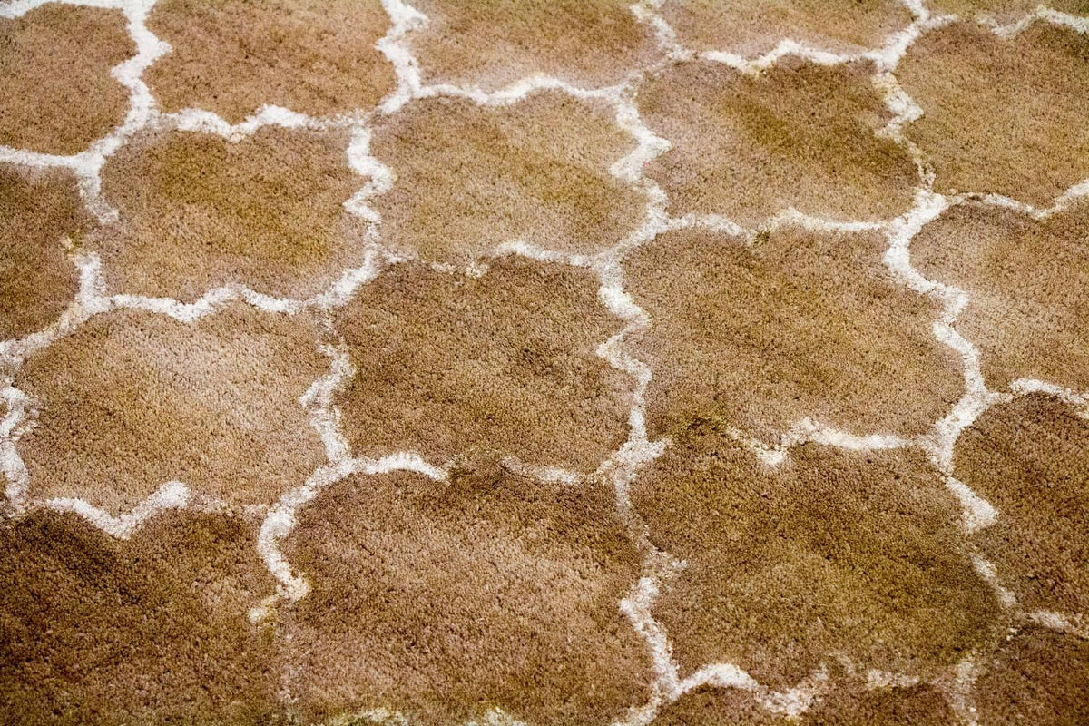 Designer Rug - 230 x 162 cm - beige