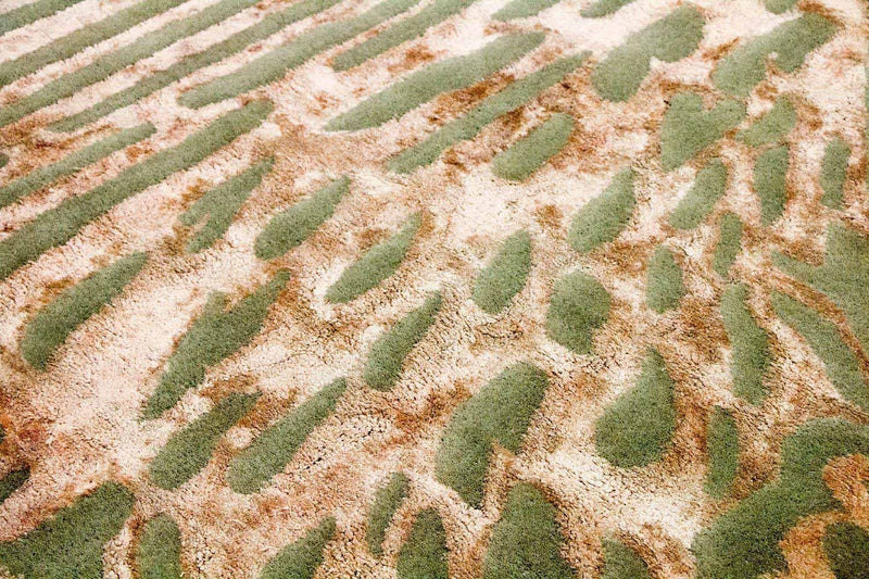 Designer Rug - 240 x 152 cm - multicolored