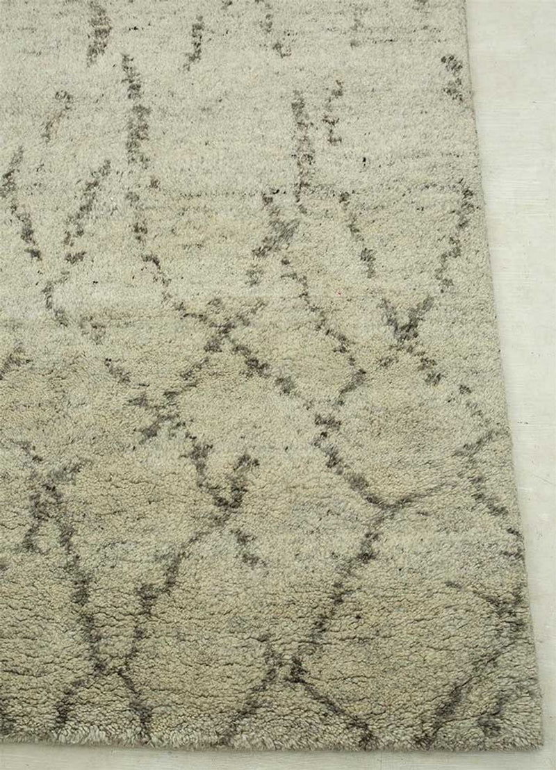 DP02-RUG1071719-240x150