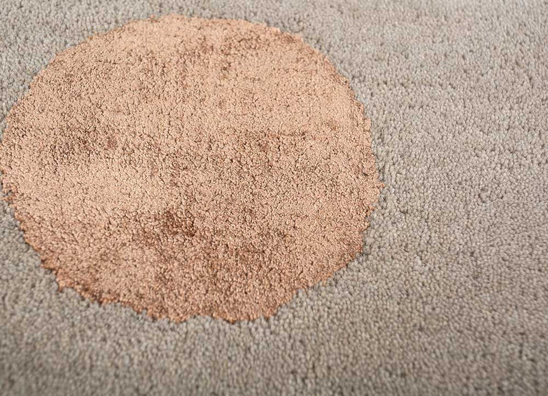 Wool Rug 90x60cm - Wool Rug