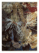 Wool Rug 300x240cm - Wool Rug