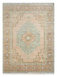 Oriental Rug Arlet